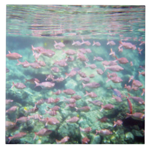 Carreau Joli carrelage en céramique de poisson tropical