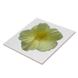 Carreau Joli Carrelage Nasturtium