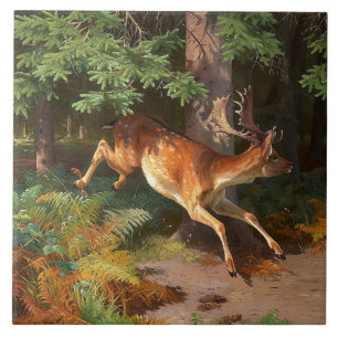 Carreau Joli Cerf Rouge Dans La Forêt