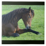 Carreau Joli Cheval Brown allongé dans l'herbe<br><div class="desc">Carrelage en céramique avec une belle photo d'un beau cheval de baie brun posé dans l'herbe,  à l'air paisible et contenu.</div>