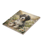 Carreau Joli chiot (Côté)