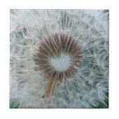 Carreau Joli Dandelion blanc (Devant)