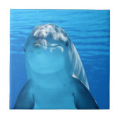Carreau Joli Dauphin Dans L'Océan (Devant)