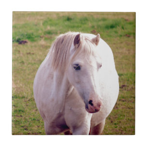 Carreau Joli Gris Pony