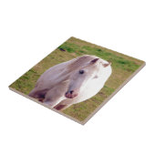 Carreau Joli Gris Pony (Côté)