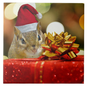 Carreau Joli Noël Chipmunk