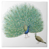 Carreau Joli Peacock (Devant)