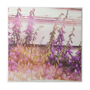 Carreau Joli pourpre