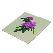 Carreau Joli Rhododendron rose (Côté)