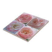 Carreau Joli Rose (Côté)