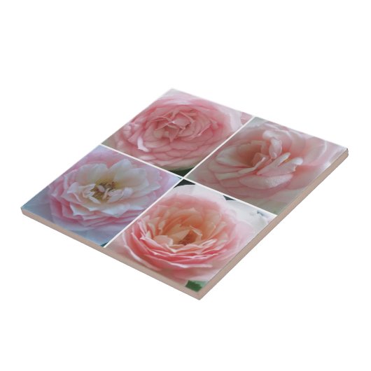 Carreau Joli Rose (Côté)