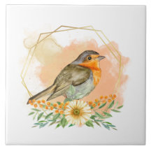 Jolie aquarelle Robin et cadre Fleur sauvage