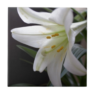Carreau Jolie fleur de lys de Pâques blanche pure sur fond
