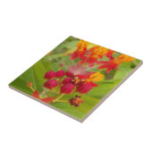 Carreau Jolie florale colorée avec Milkweed Art Imprimer (Côté)