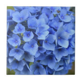 Carreau Jolie Hydrangea Bleue Fleur Florale (Devant)