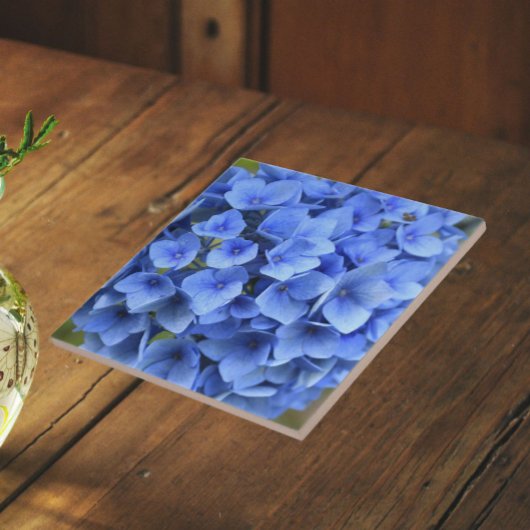 Carreau Jolie Hydrangea Bleue Fleur Florale