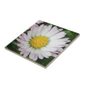 Carreau Jolie marguerite (Côté)