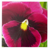 Carreau Jolie Pensée Florale Violette (Devant)
