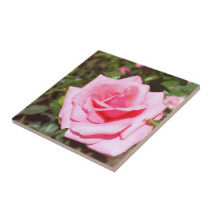 Carreau jolie rose rose fleur avec coeurs doux