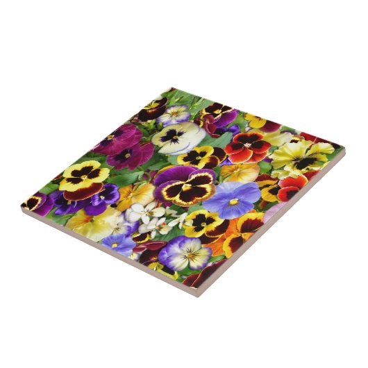 Carreau Jolies pensées (Côté)