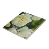 Carreau Jolies roses blanches pour positif (Côté)