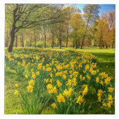 Carreau Jonquilles (Devant)