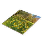 Carreau Jonquilles (Côté)