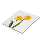 Carreau Jonquilles jaunes sur le blanc - blanc de fleur de (Côté)