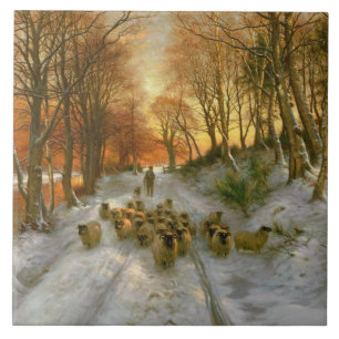 Carreau Joué avec des nuances d'heures du soir