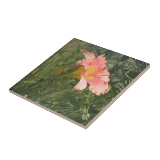 Carreau Jour dans le soleil (Côté)