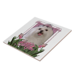 Carreau Jour de mères - tulipes roses - maltais