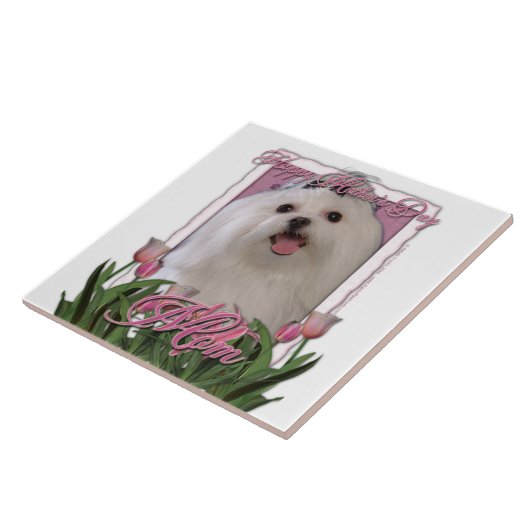 Carreau Jour de mères - tulipes roses - maltais (Côté)