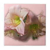 Carreau Jours roses (Devant)