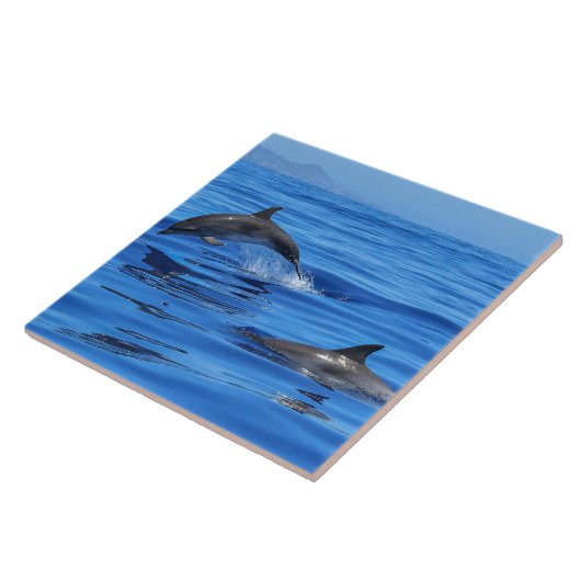 Carreau Joyeux dauphins (Côté)