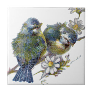 Carreau Joyeux oiseaux Vintages