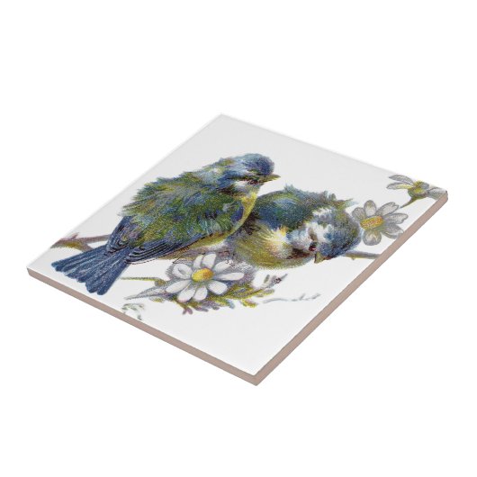 Carreau Joyeux oiseaux Vintages (Côté)