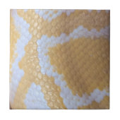 Carreau Joyeux serpent d'anniversaire (Devant)