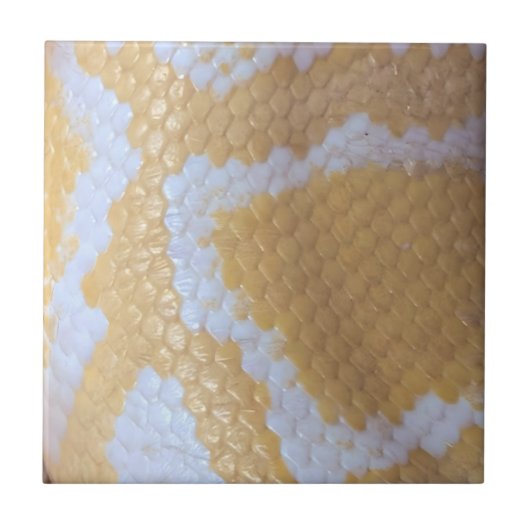 Carreau Joyeux serpent d'anniversaire (Devant)