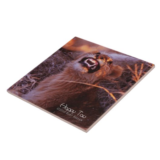 Carreau Joyeux Tau (Côté)