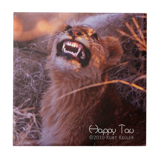 Carreau Joyeux Tau (Devant)