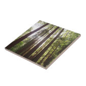 Carreau Jusqu'aux séquoias du matin (Côté)