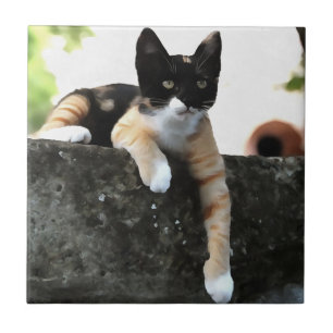 Carreau Juste Chillin Tricolor Chat Pet Portait