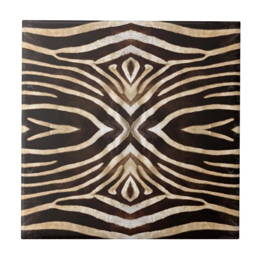 Carreau Kaleidoscope Zebra Fur Motif (Devant)
