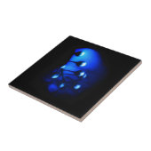 Carreau Kate (Côté)