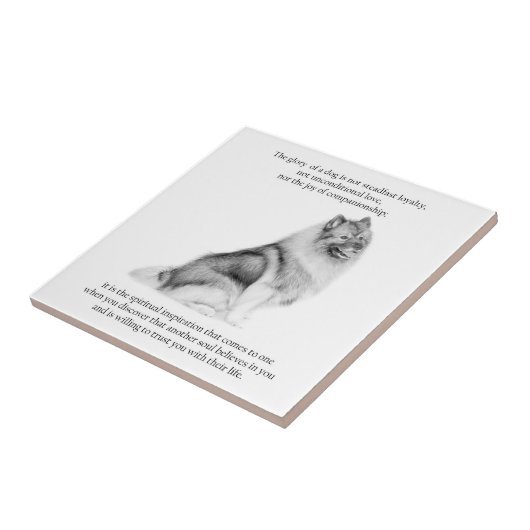 Carreau Keeshond (Côté)