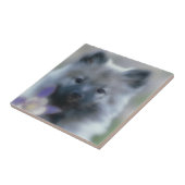 Carreau Keeshond et Columbine - Photo de chien (Côté)