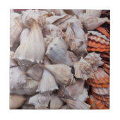 Carreau Key West, coquillages (Devant)