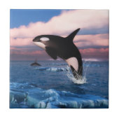 Carreau Killer Whales in the Arctic Ocean (Devant)