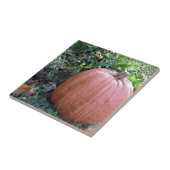 Carreau Kine de Halloween (Côté)