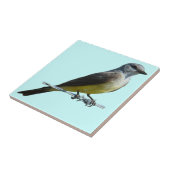 Carreau Kingbird B45 occidental (Côté)